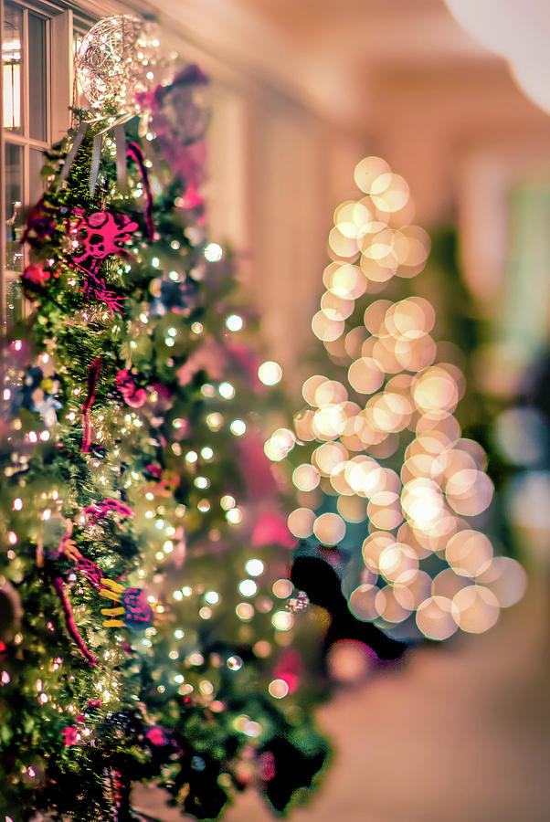 Shallow Depth of Field Christmas Tree