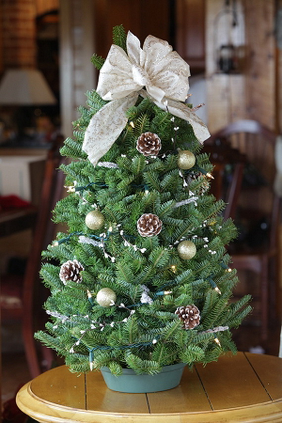 Small Christmas Tree Ideas for Tabletop