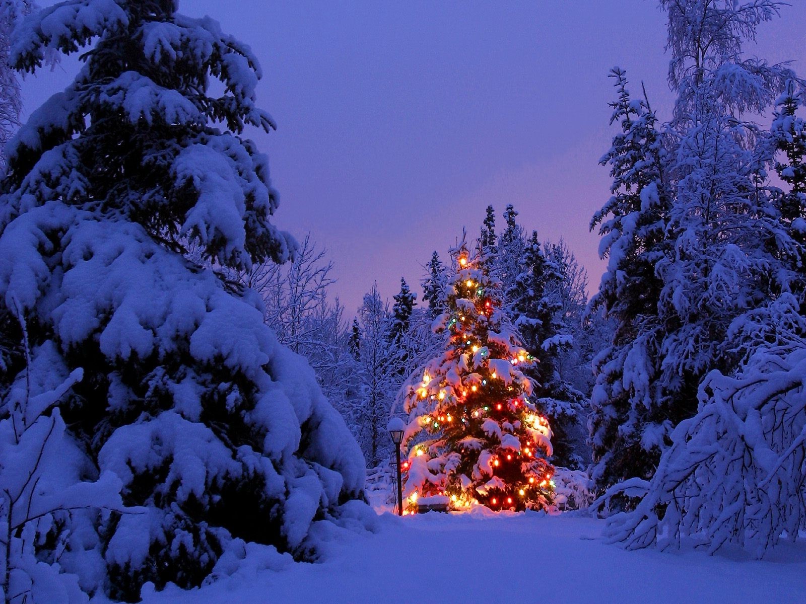 Snowy Winter Christmas Tree