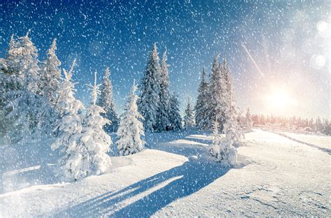 Snowy Winter Scene