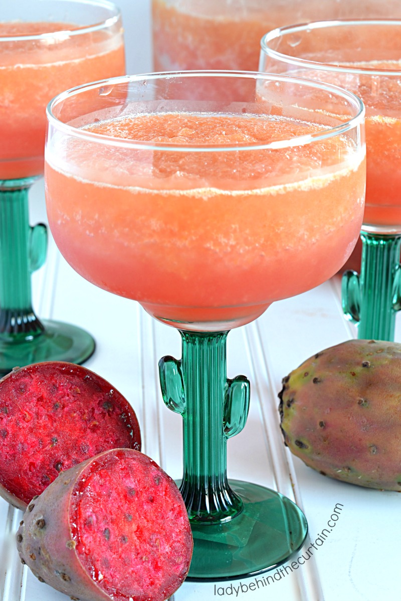 Sparkling Cactus Punch