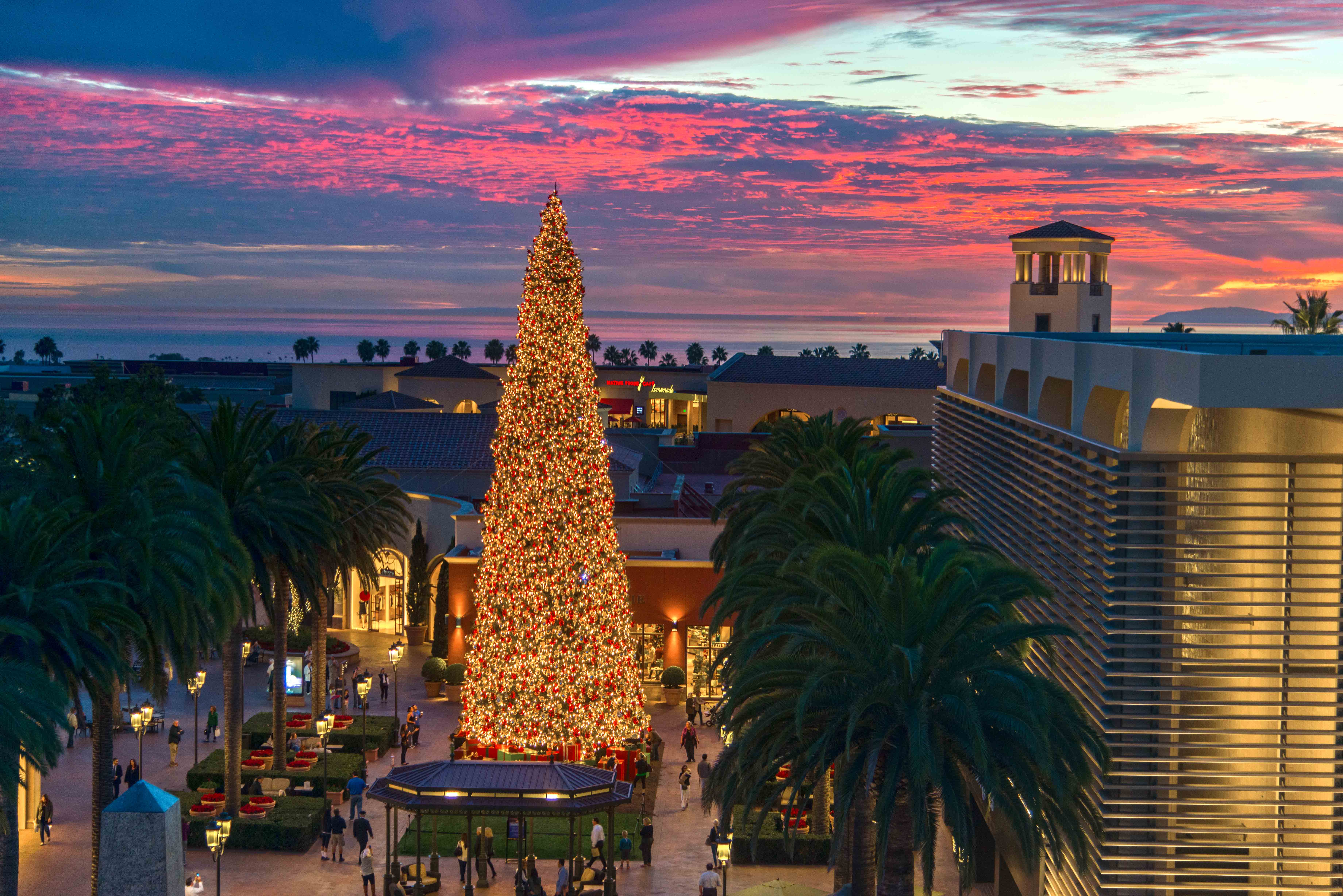 Top 5 Ways To Enjoy The Christmas Tree At Fashion Island