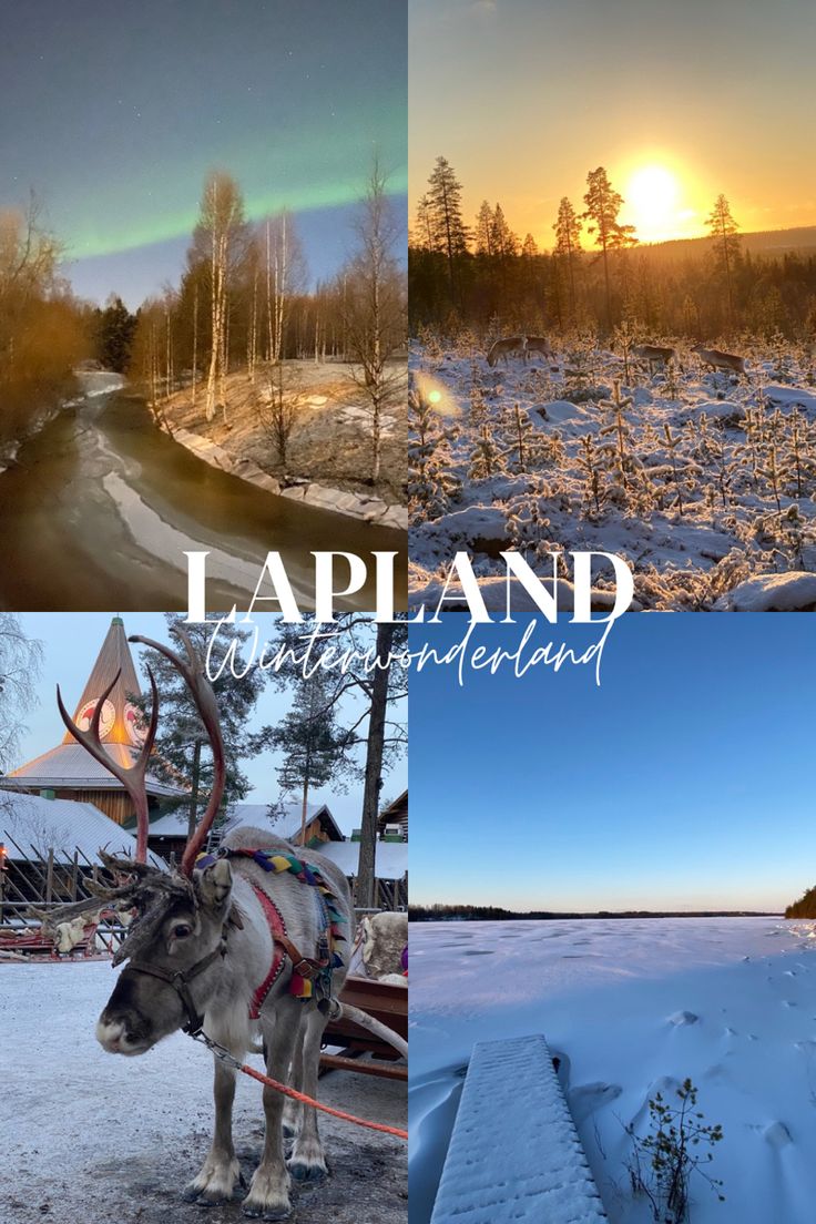 Lapland Winter Wonderland