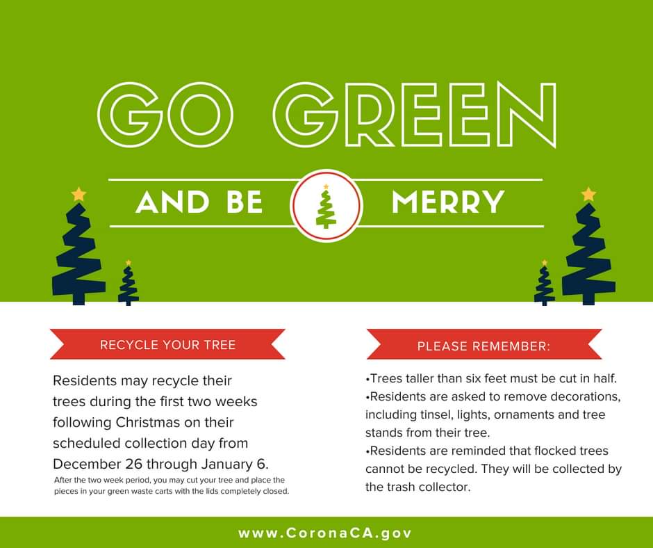 Christmas Tree Recycling Options