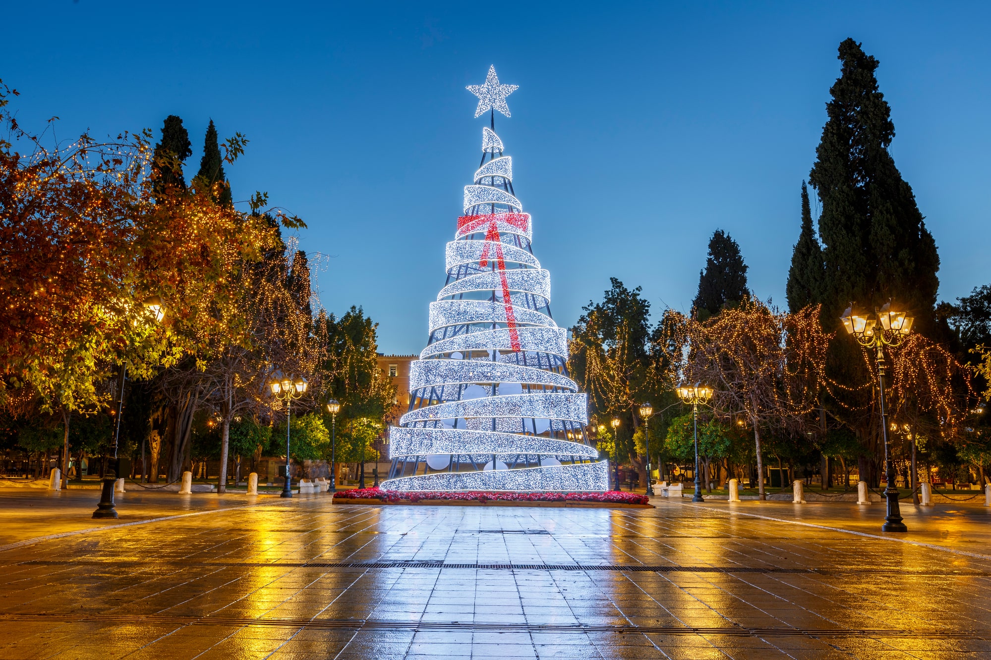 Greece Christmas Trees