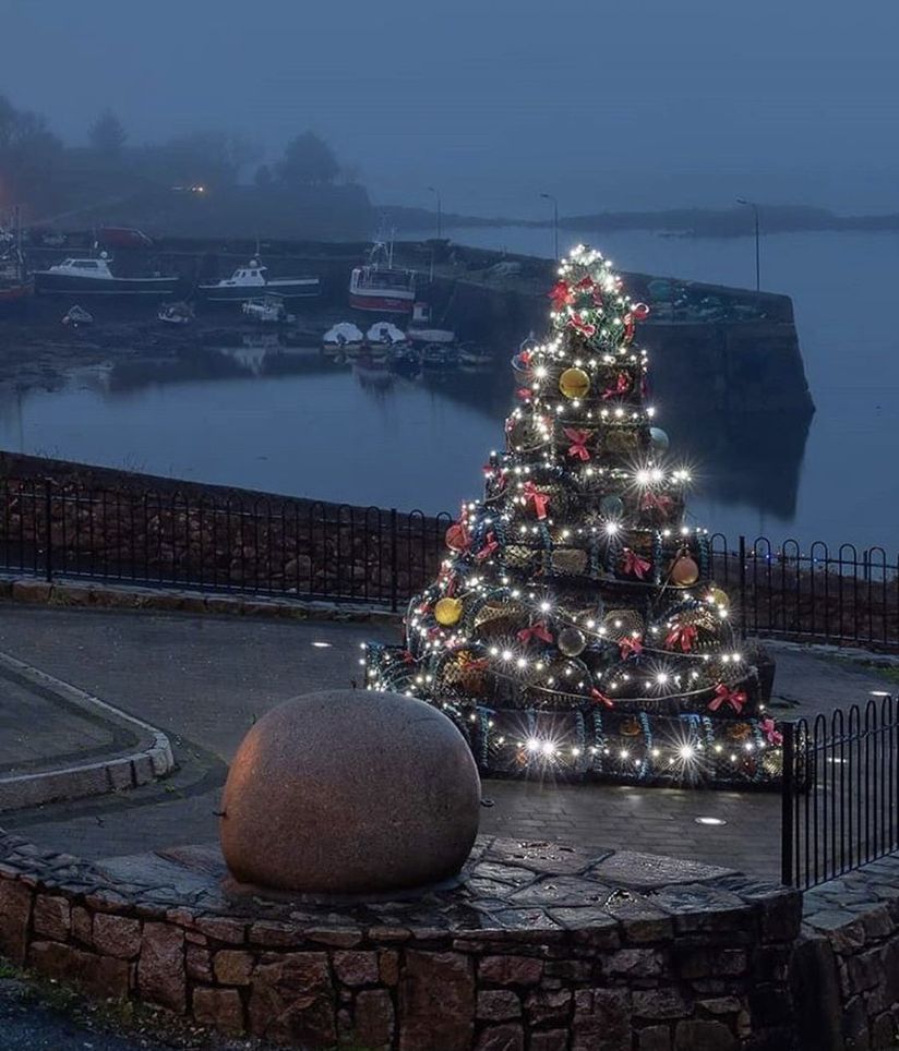 Christmas Tree in Northern Ireland