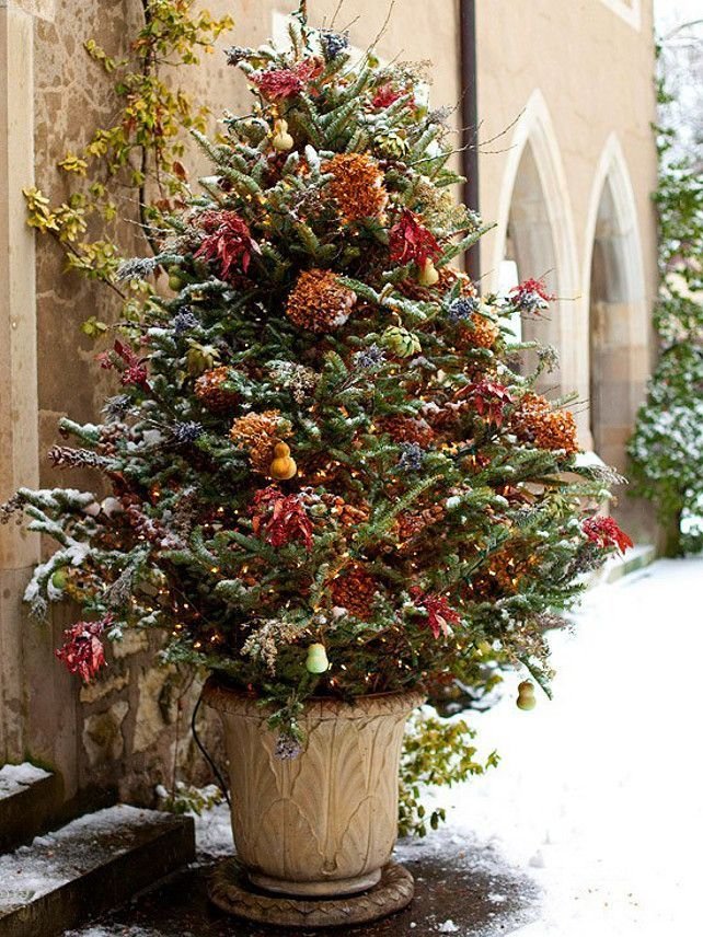 Outdoor Christmas Trees Decoration Ideas