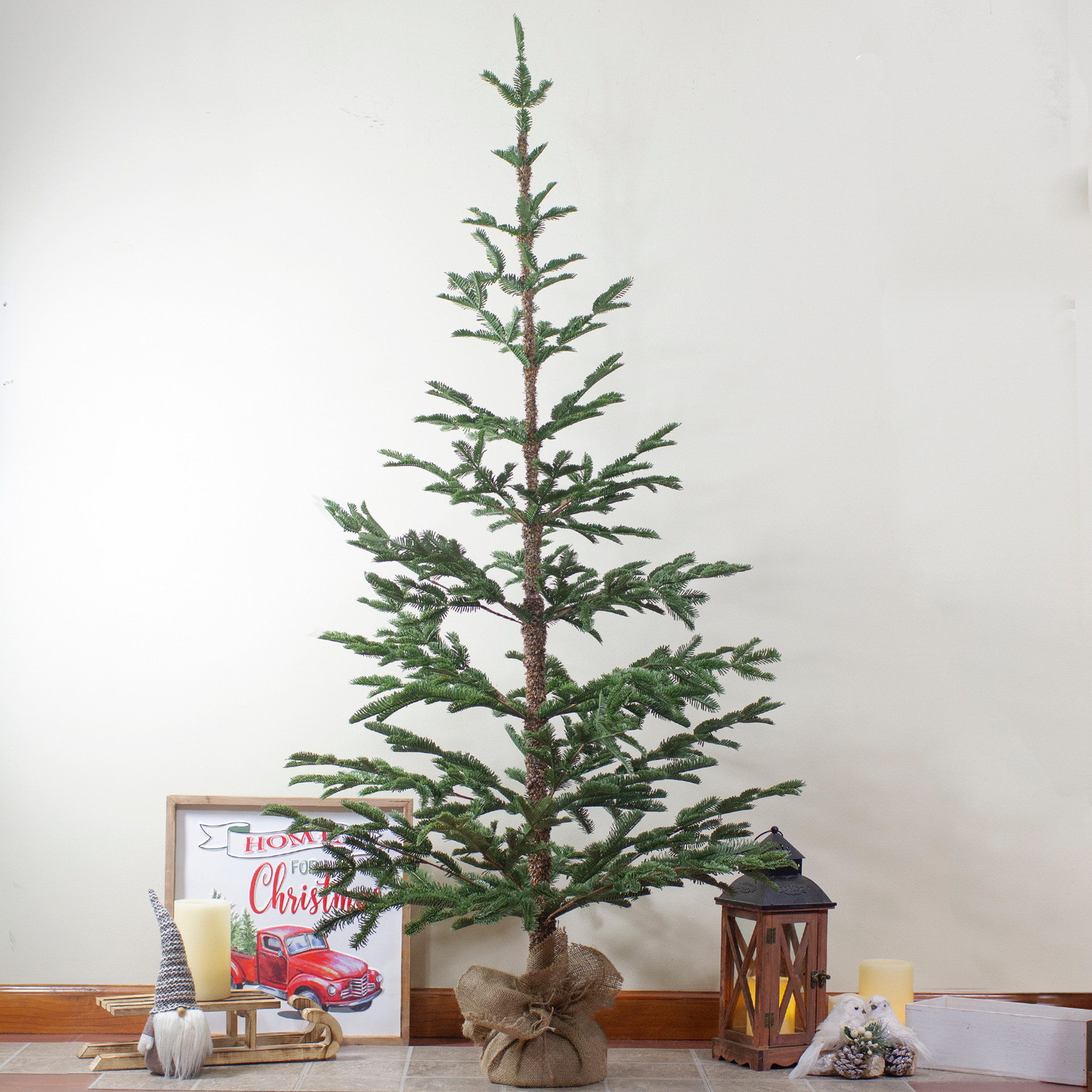 Ponderosa Pine Christmas Tree Ideas