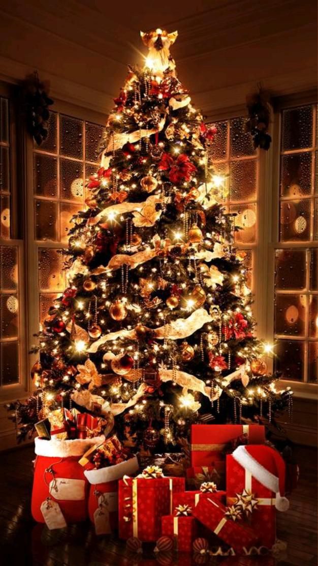 Christmas Tree Lighting Ideas