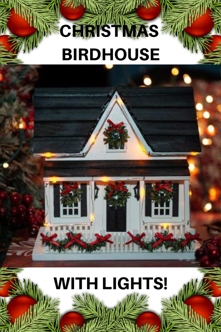 Holiday lights ideas